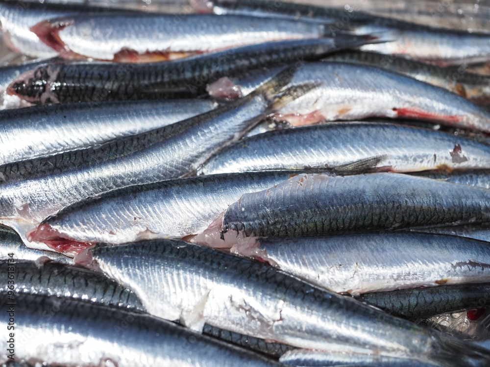 Bandeja de anchoas limpias y sin cabeza Bandeja de anchoas limpias y sin cabeza