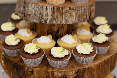 Display of vanilla and chocolate cupcakes photo