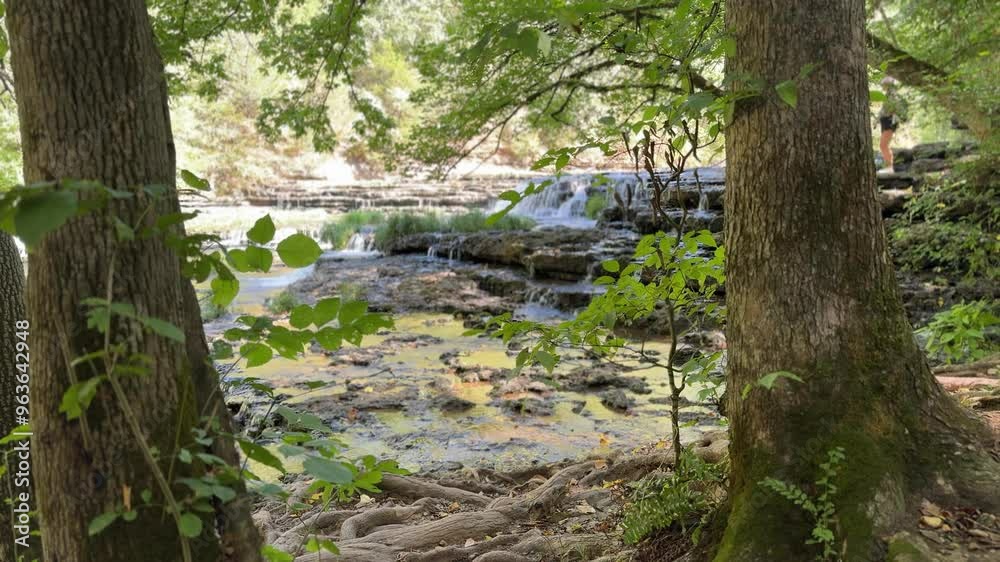 Discovering a serene waterfall surrounded by lush greenery in a tranquil outdoor setting Discovering a serene waterfall surrounded by lush greenery in a tranquil outdoor setting