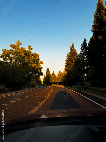 driving in autumn