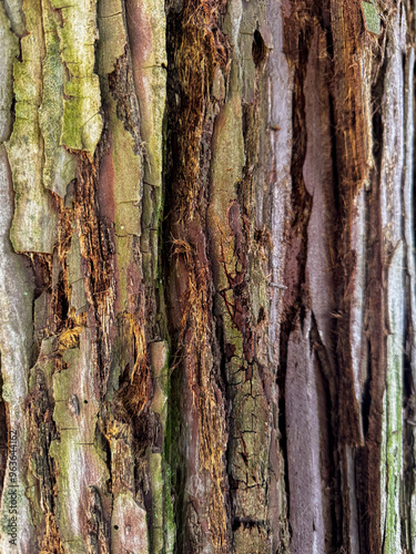 texture