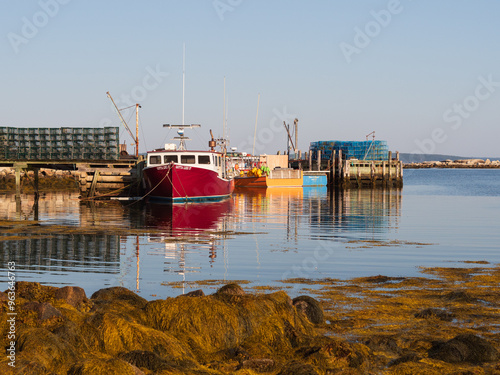 Fishing boats in vibrant colors, adorned with lobster traps, are docked in the calm, clear waters, while a pile of seaweed rests near the shore. This tranquil fishing wharf in Indian Harbour, Nova Sco