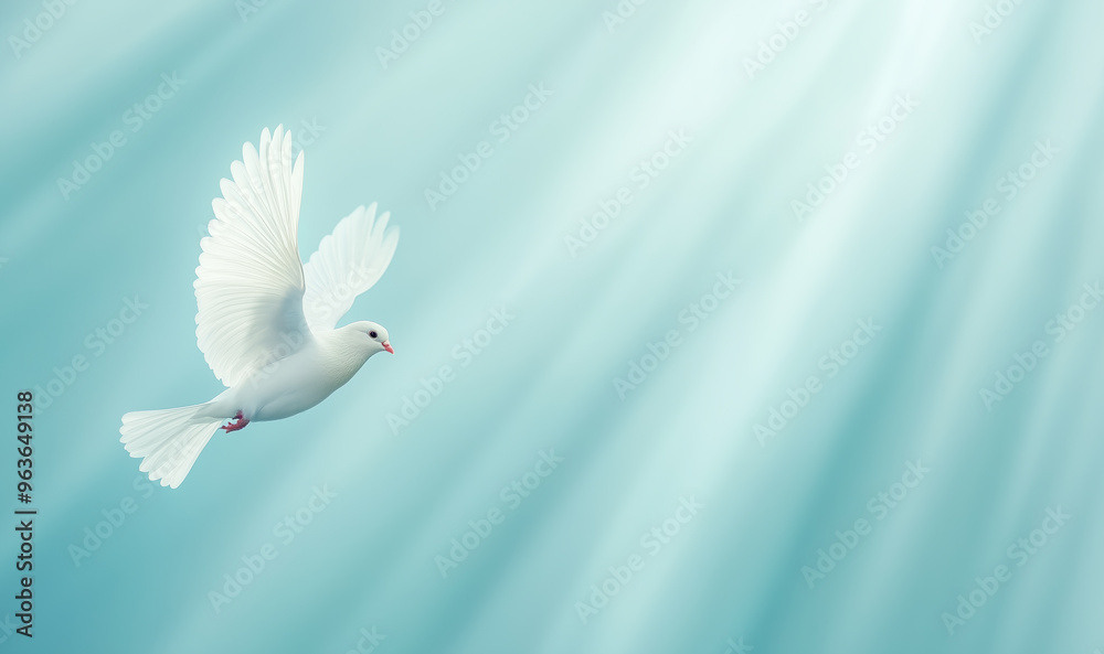 Fototapeta premium White dove flying under soft natural light in serene sky