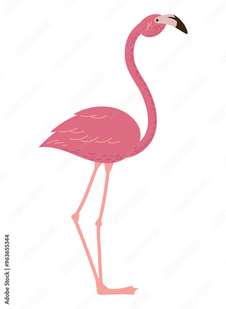 Naklejka premium exotic flemish bird
