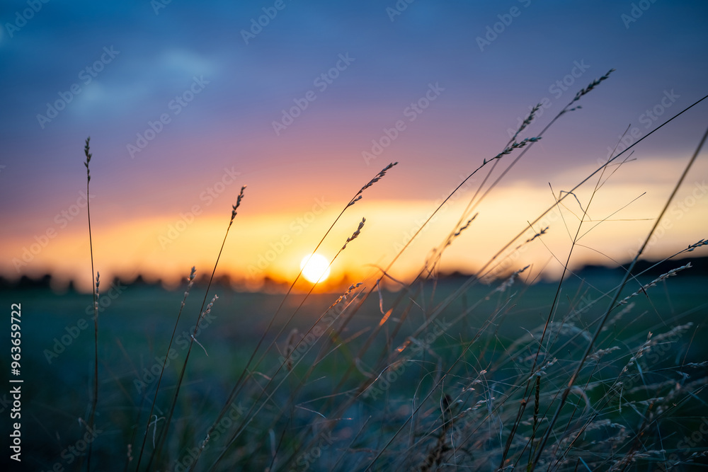 Sommerliche Abendstimmung auf dem Lande, vertrocknete Grashalme mit Sonnenuntergang im Hintergrund. Sommerliche Abendstimmung auf dem Lande, vertrocknete Grashalme mit Sonnenuntergang im Hintergrund.