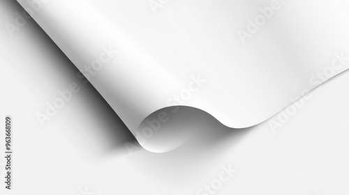 Elegant White Paper Texture photo