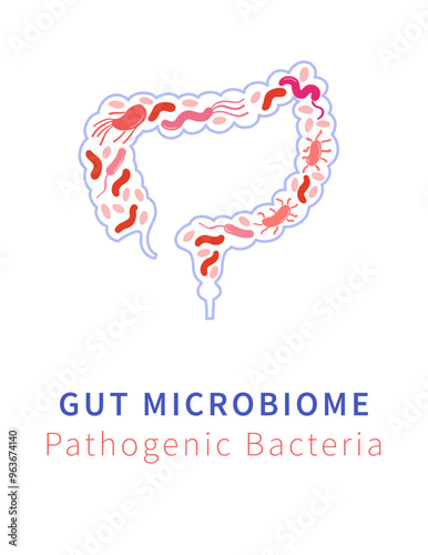 Gut Microbiome and Pathogenic bacteria. Pathogen Bacteria and Digestive Health