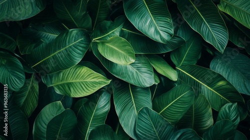 Lush Green Leaves Background