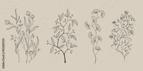 Minimalist floral elements and flower stalks for logos or tattoos. Wedding elements of hand-drawn lines, elegant leaves and cool flowers