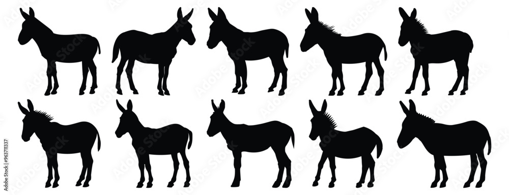 Fototapeta premium Donkey silhouettes set, animal pack of vector silhouette design, isolated background