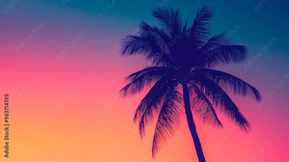 Silhouette of a palm tree against a Silhouette of a palm tree against a