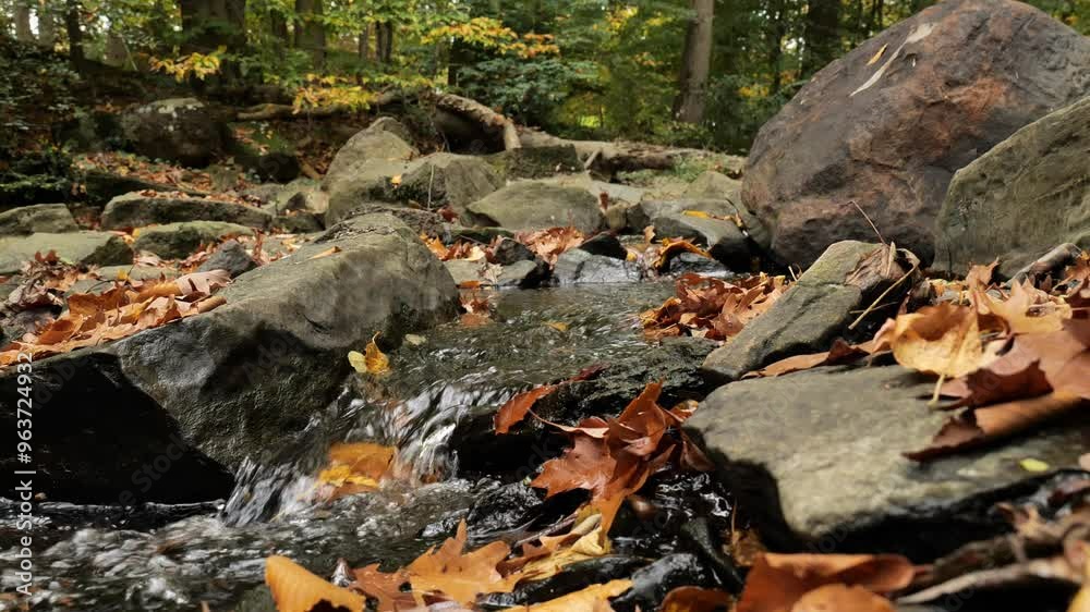 Colorful autumn leaves on stones in a stream. Colorful autumn leaves on stones in a stream.