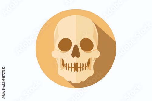 A skull with a long shadow on a white background