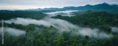 Misty Morning in a Lush, Forested Mountain Range