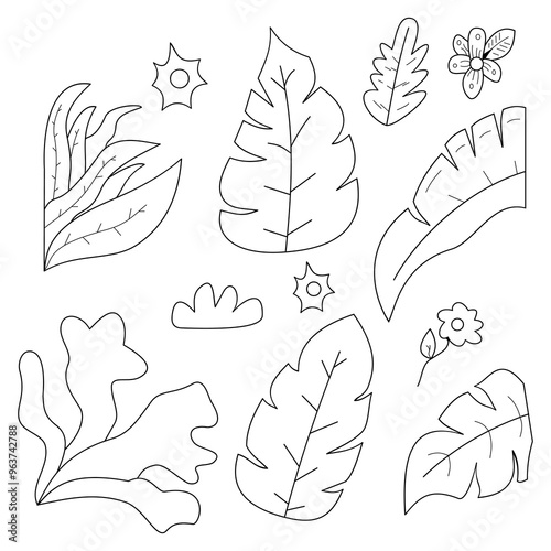 Hand drawn autumn leaves outline of various trees, oak, maple, chestnut. Leaf line art collection for coloring book, pattern, sticker.