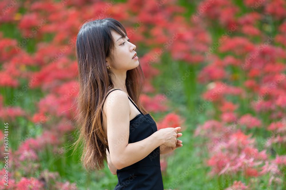 美しい日本女性 美しい日本女性