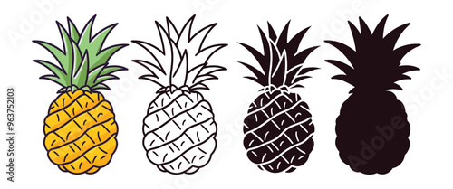 Pineapple vector illustration, outline, silhouette on white background