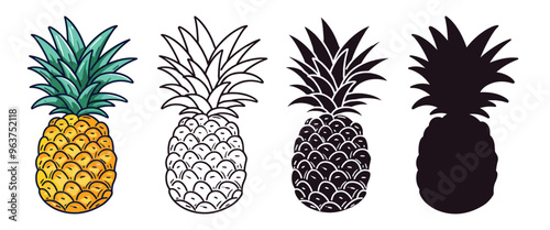 Pineapple vector illustration, outline, silhouette on white background