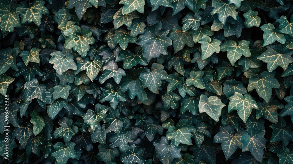 Ivy-Covered Wall: Green Foliage Background Ivy-Covered Wall: Green Foliage Background