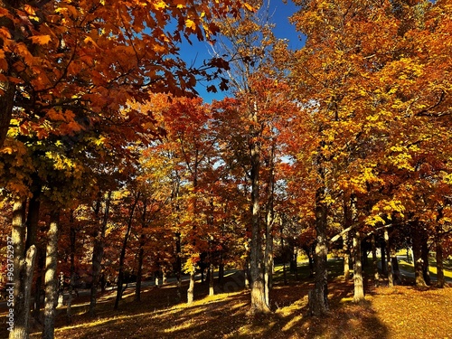 Autumn Mountain