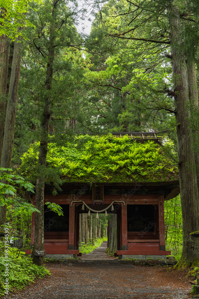 日本　長野県長野市にある戸隠神社の奥社参道と随神門