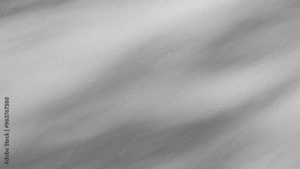 interior wall studio of moving leaves, sunlight, natural shadows overlaid on a white background.Summer concept interior wall studio of moving leaves, sunlight, natural shadows overlaid on a white background.Summer concept