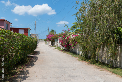 Cuba,Havana, Jaimanitas. Bougainvillea alleyway. 2016-03-31