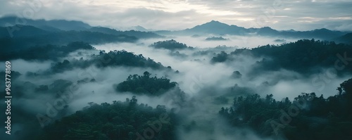 Misty Mountain Landscape with Rolling Fog and Dense Foliage