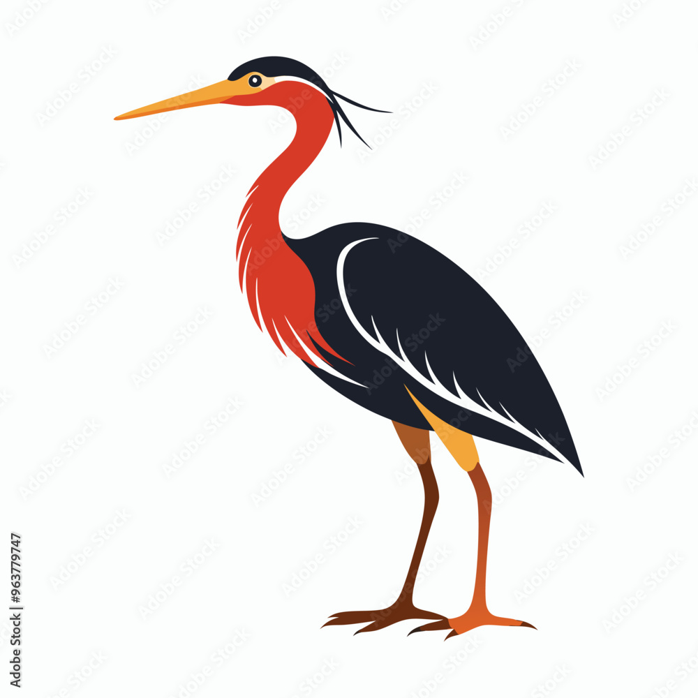 Fototapeta premium vector Bittern on white background