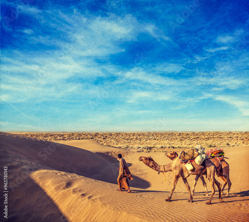 Cameleer camel driver with camels in dunes of Thar desert. Raj