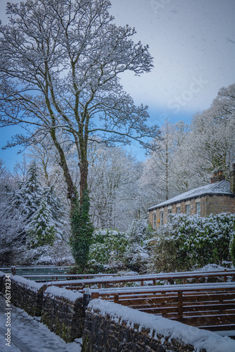 winter house in the woods