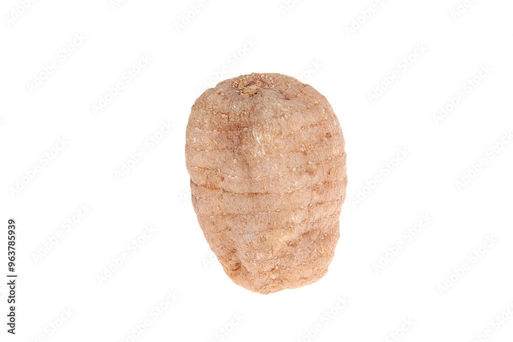 Tianma is isolated on a white background Tianma is isolated on a white background