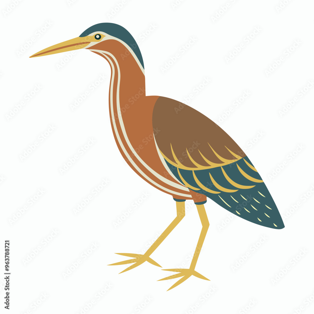 Obraz premium vector Bittern on white background