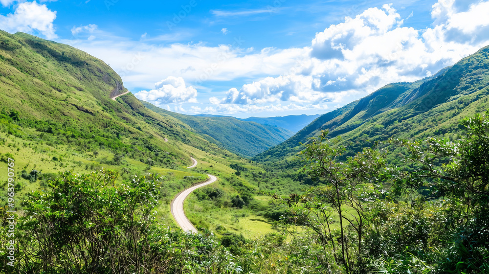 landscape with mountains, primeval forest