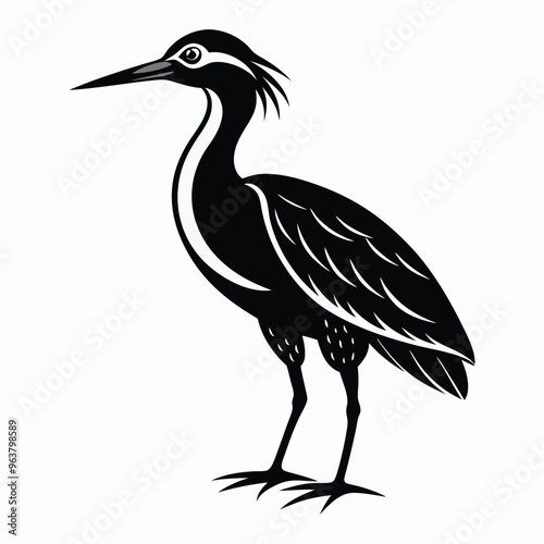 vector Bittern on white background