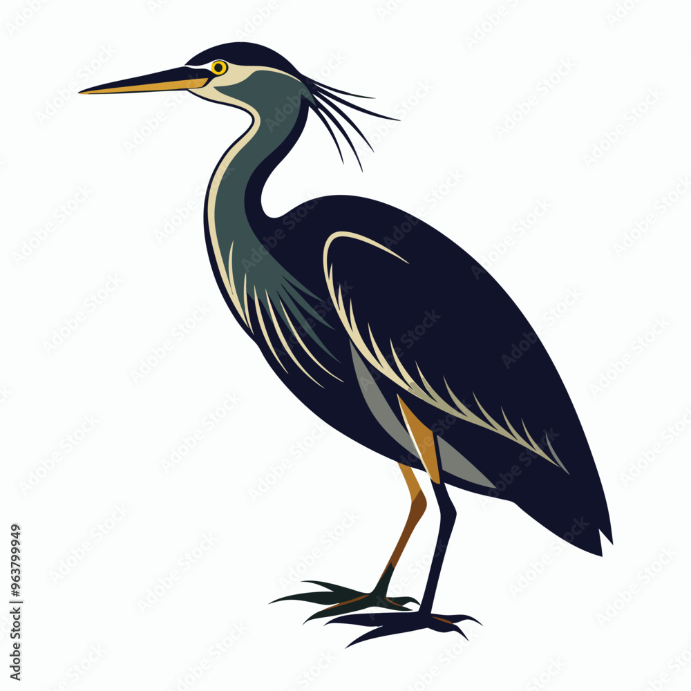 vector Bittern on white background vector Bittern on white background