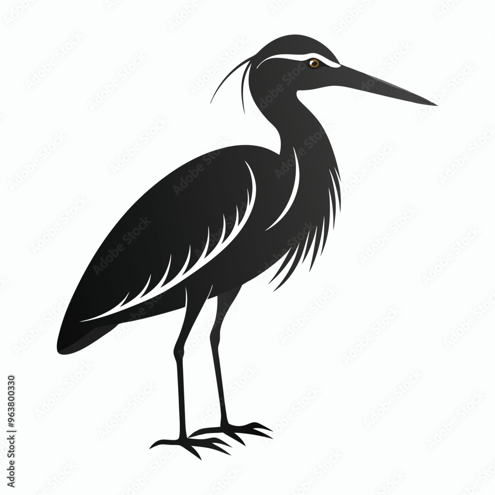 vector Bittern on white background