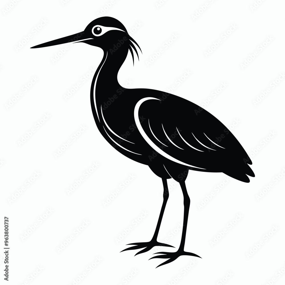 Obraz premium vector Bittern on white background