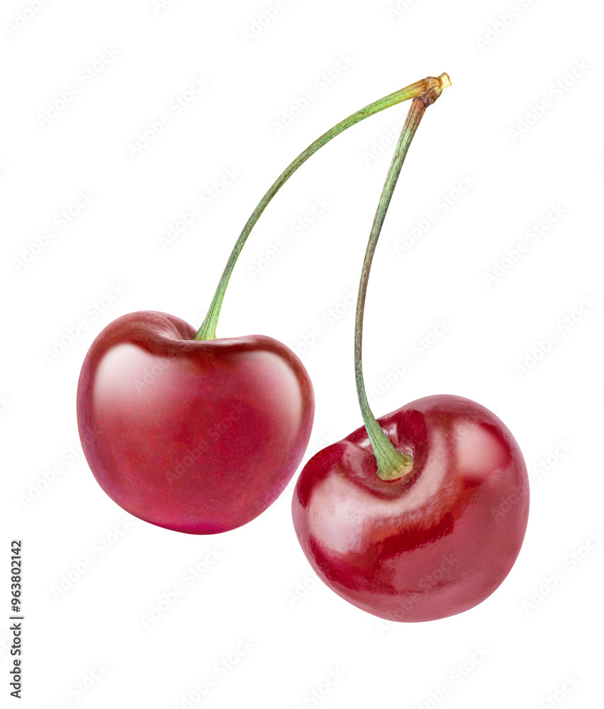 two cherries isolated on white two cherries isolated on white