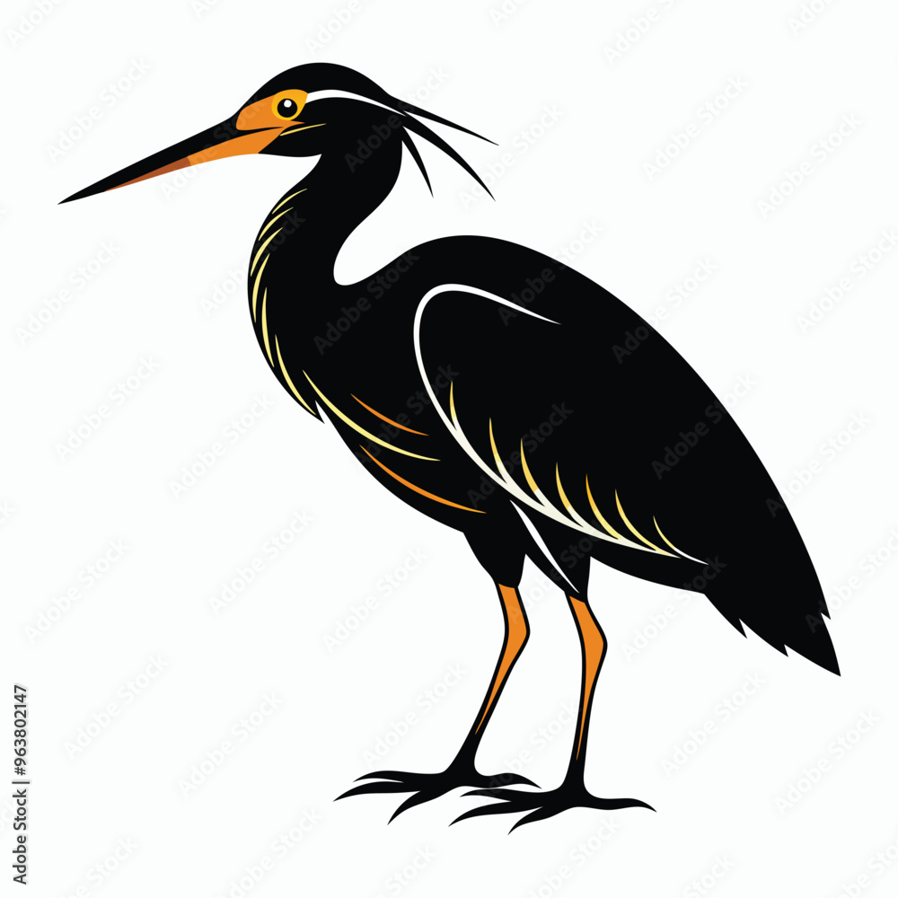 Fototapeta premium vector Bittern on white background