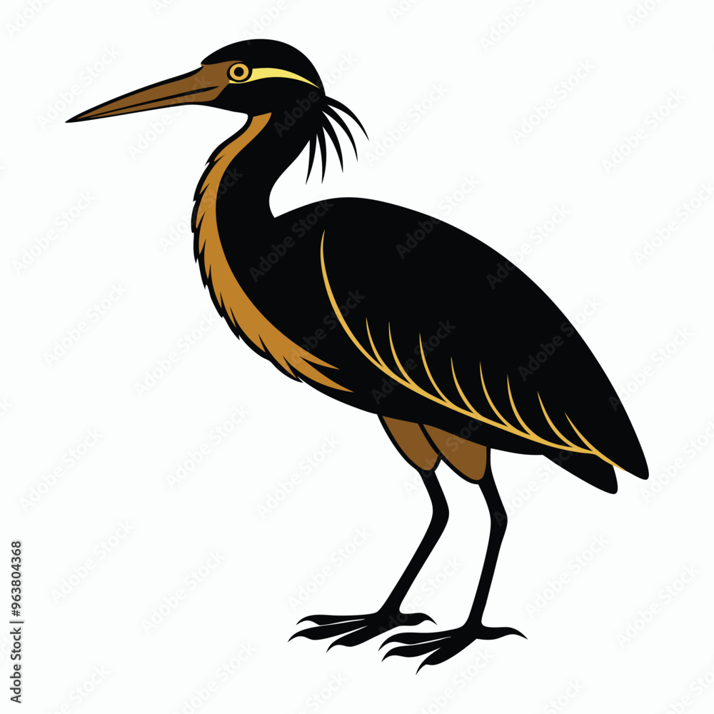 Fototapeta premium vector Bittern on white background