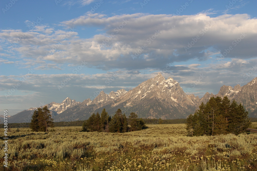 Fototapeta premium Grand Tetons