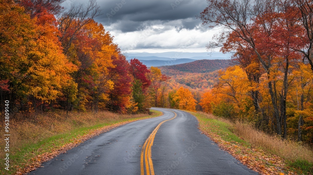 Fototapeta premium Autumn on Skyline Drive in the Shenandoah National Park