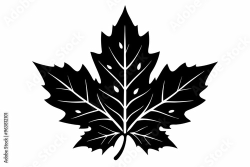 Christmas Leaf Black Silhouette Elegant and Festive Holiday Foliage Design.