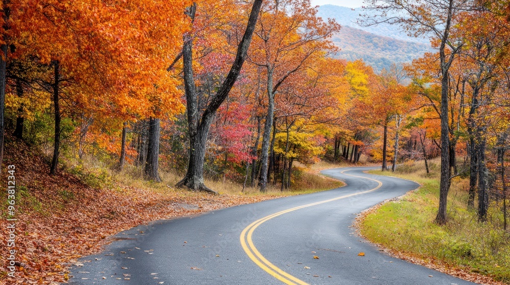 Autumn on Skyline Drive in the Shenandoah National Park Autumn on Skyline Drive in the Shenandoah National Park
