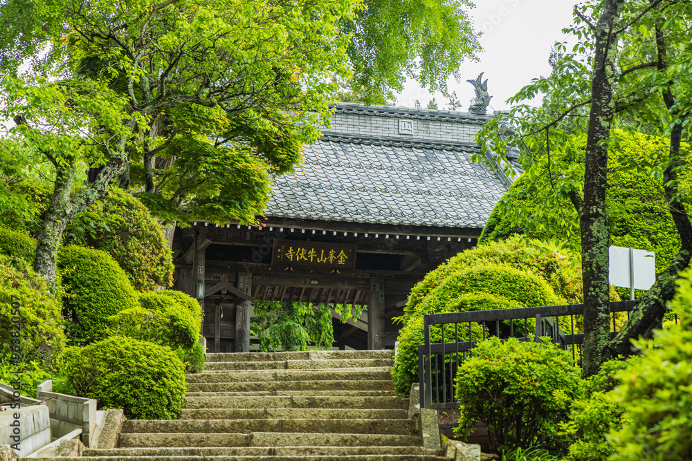 日本 長野県松本市にある牛伏寺の山門へと向かう参道 日本 長野県松本市にある牛伏寺の山門へと向かう参道