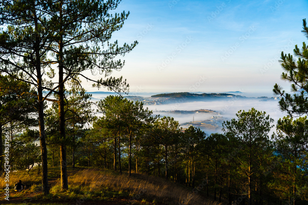 a serene view of Dalat city with a sea of clouds, flanked by silhouetted pine trees, during sunrise or sunset. a serene view of Dalat city with a sea of clouds, flanked by silhouetted pine trees, during sunrise or sunset.