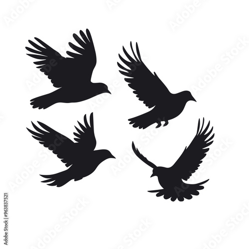 Silhouettes of four birds in flight against a white background.