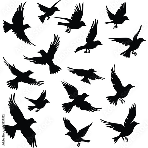 Silhouettes of various birds in flight against a white background.