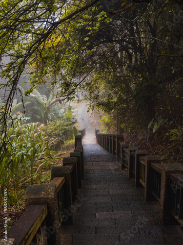 The beautiful mountain path surrounded by trees.